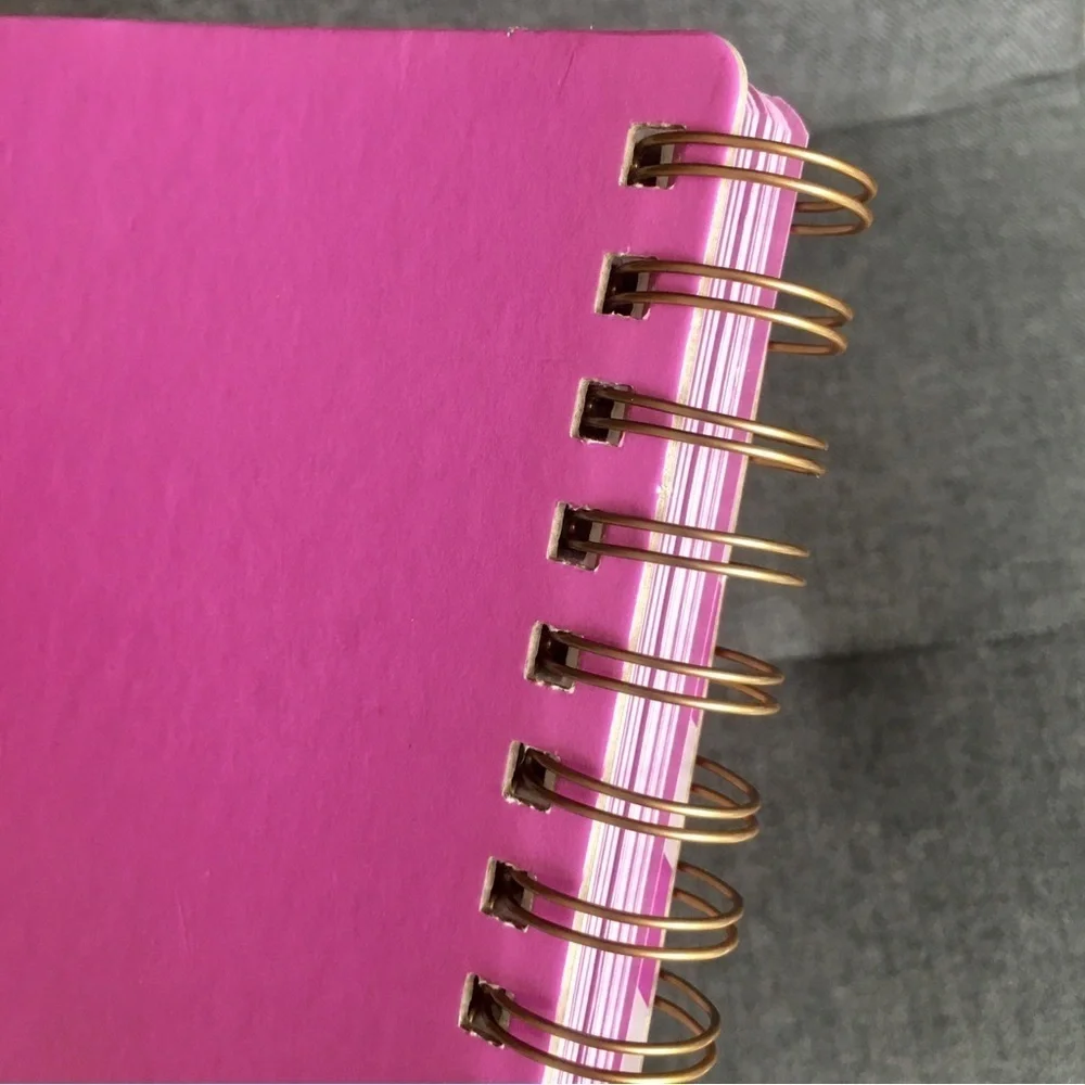 “RIDICULOUSLY good ideas” Spiral Bound, Lined Journal, Pink, White, 120 pages